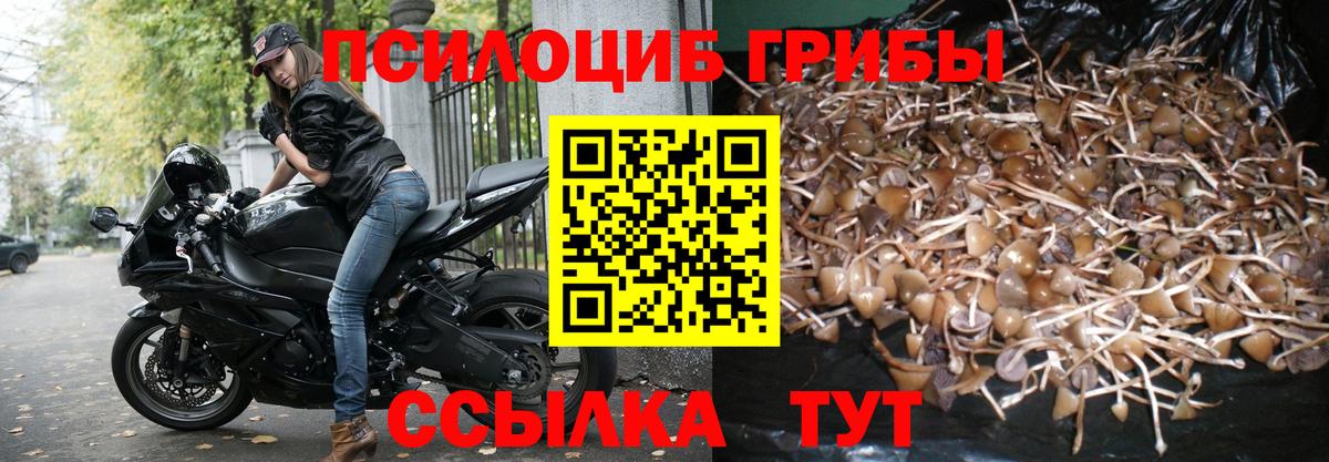 где продают наркотики  Галлюциногенные грибы Psilocybe  Вход с VPN  Ярославль 