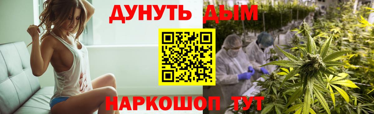 Конопля план  Канабис марихуана  Ярославль  Конопля ГИДРОПОН  Вход с VPN 